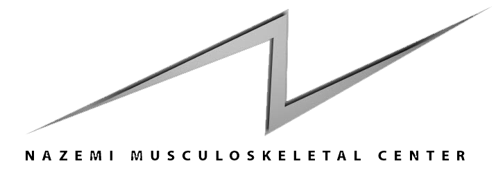 Nazemi Logo